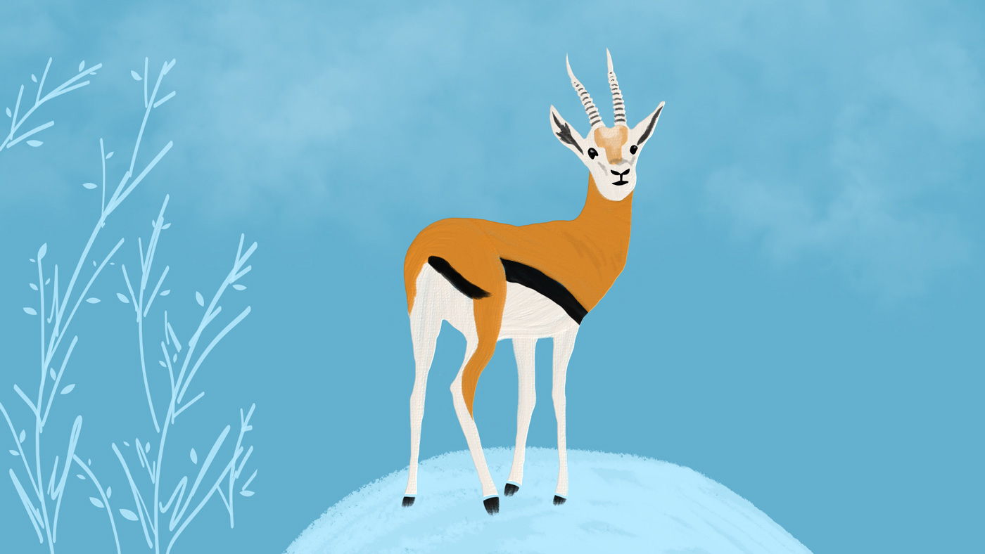 Illustration animal sauvage