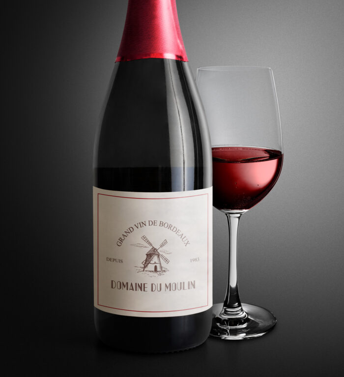 Logo Domaine du moulin